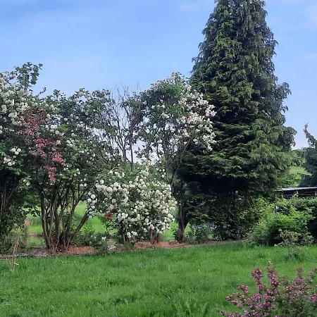 Apartman Zum Jagdsteinblick Bahretal