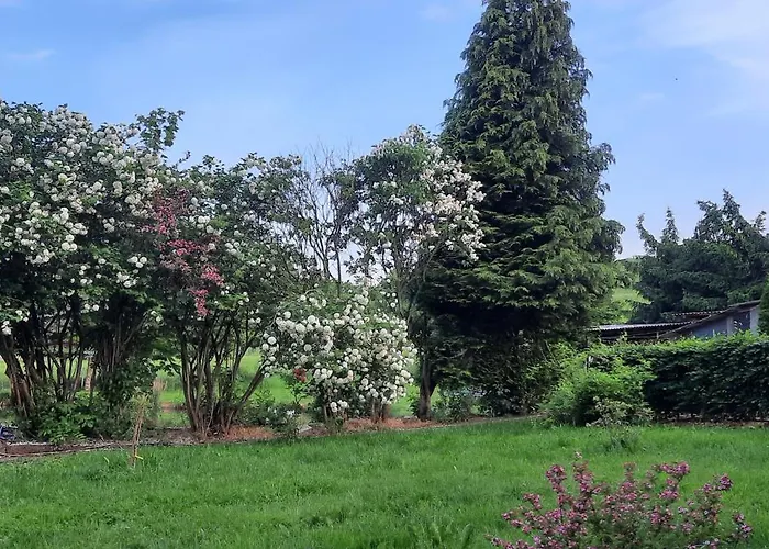 公寓 Zum Jagdsteinblick Bahretal